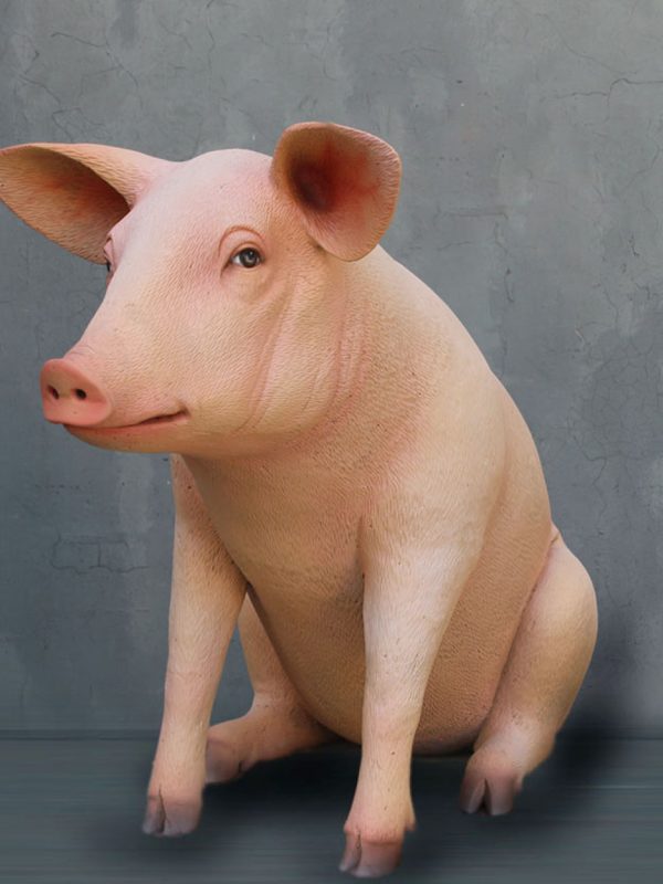 PIG SITTING 2