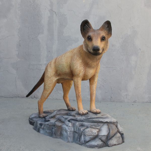 TASMANIAN DOG