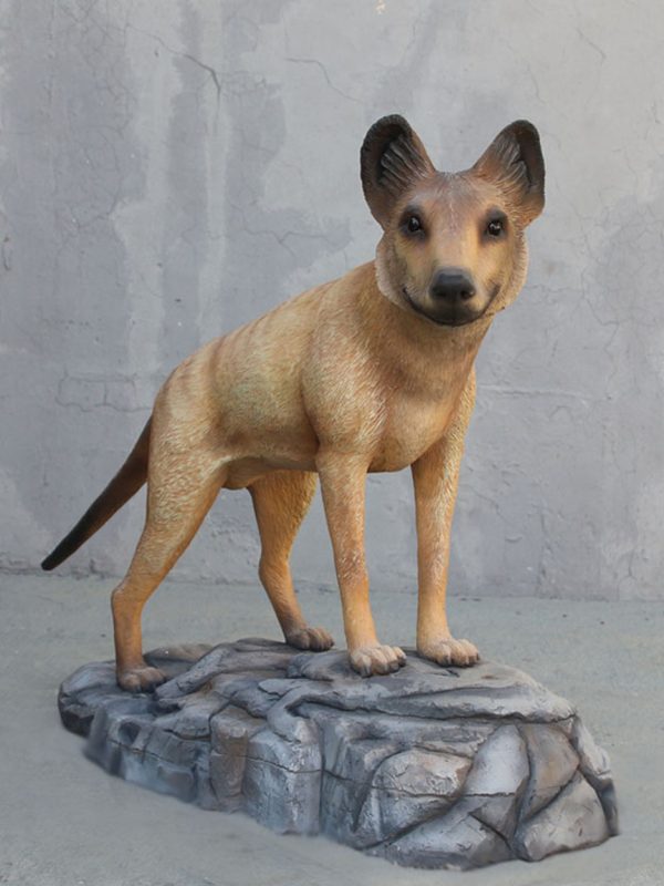 TASMANIAN DOG