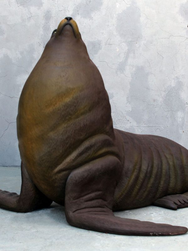 AUSTRALAN SEAL FUR