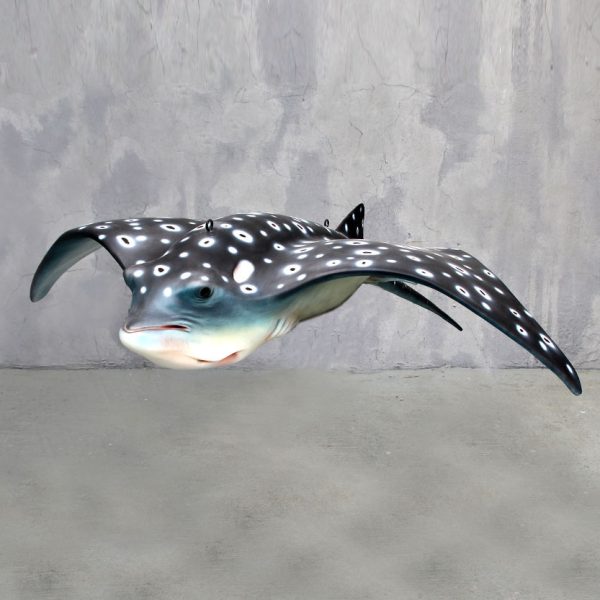 SPOTTED EAGLE RAY