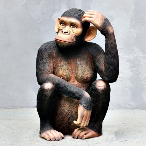 SITTING CHIMPANZEE