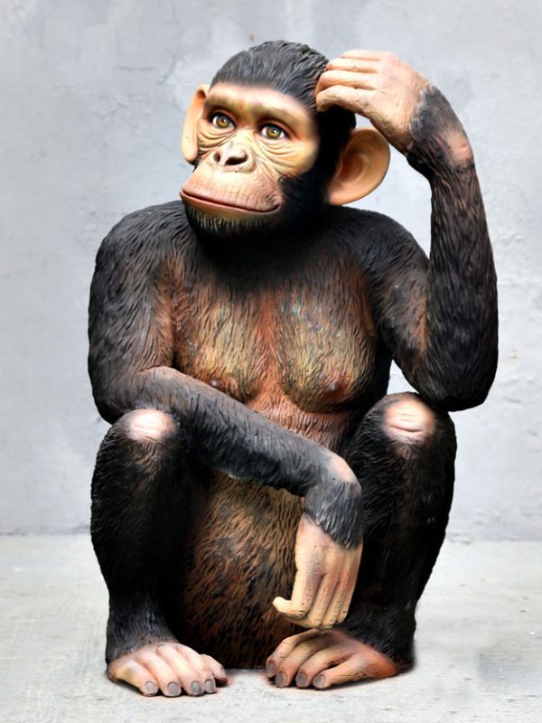 SITTING CHIMPANZEE