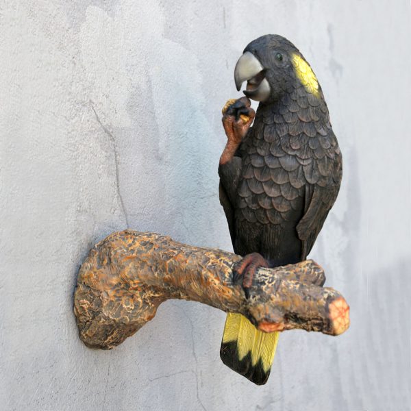 COCKATOO BLACK/YELLOW