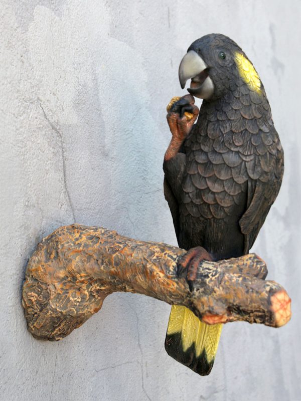 COCKATOO BLACK/YELLOW