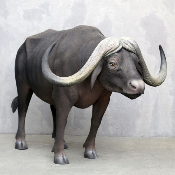 AFRICAN BUFFALO