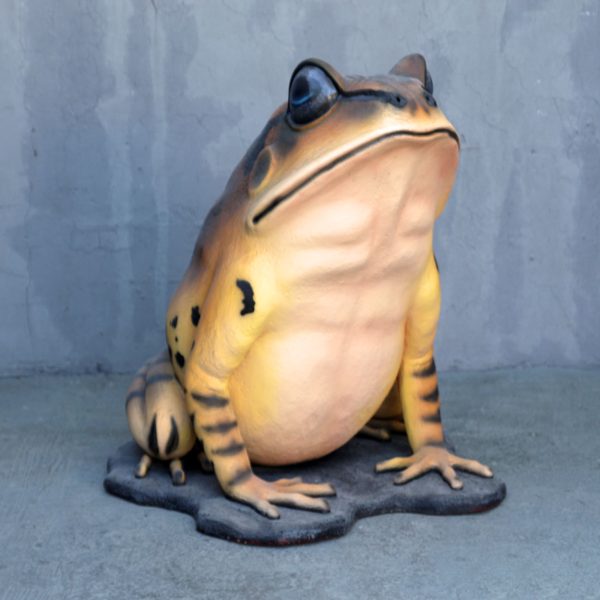 GREAT BARRED FROG