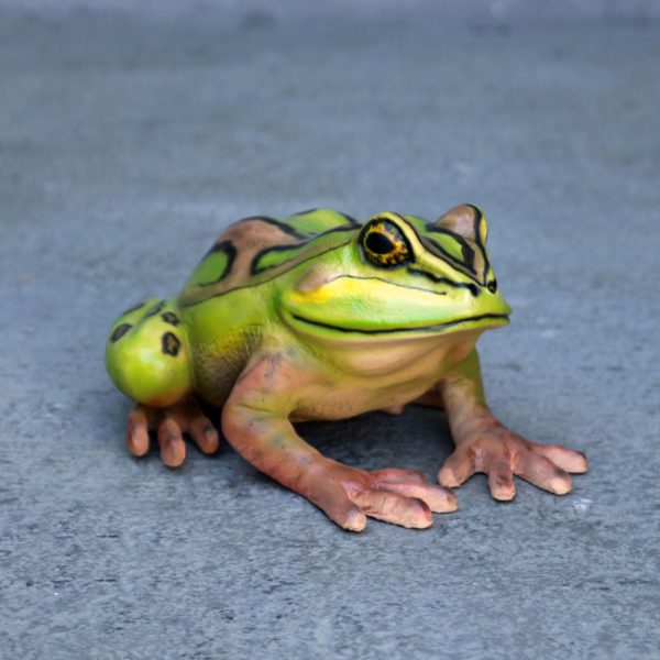 BELL FROG