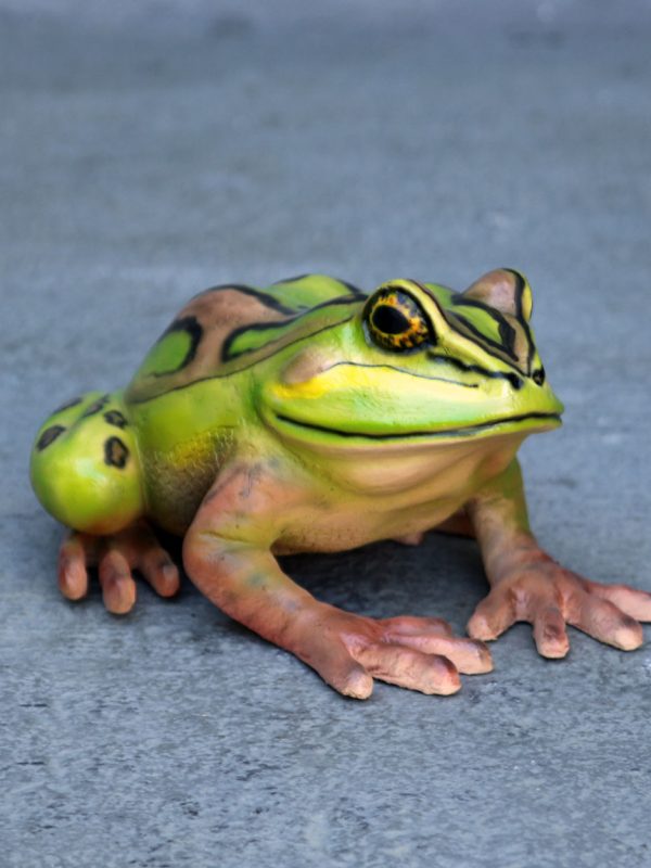 BELL FROG