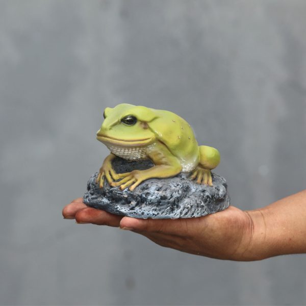 GREEN FROG ON ROCK