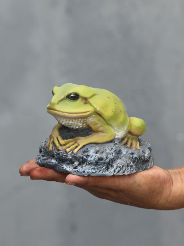 GREEN FROG ON ROCK