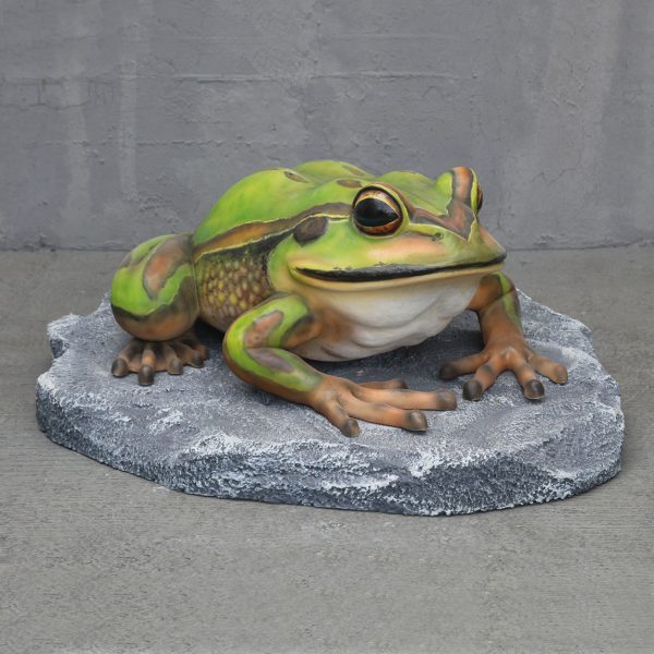 BELL FROG ON ROCK BIG