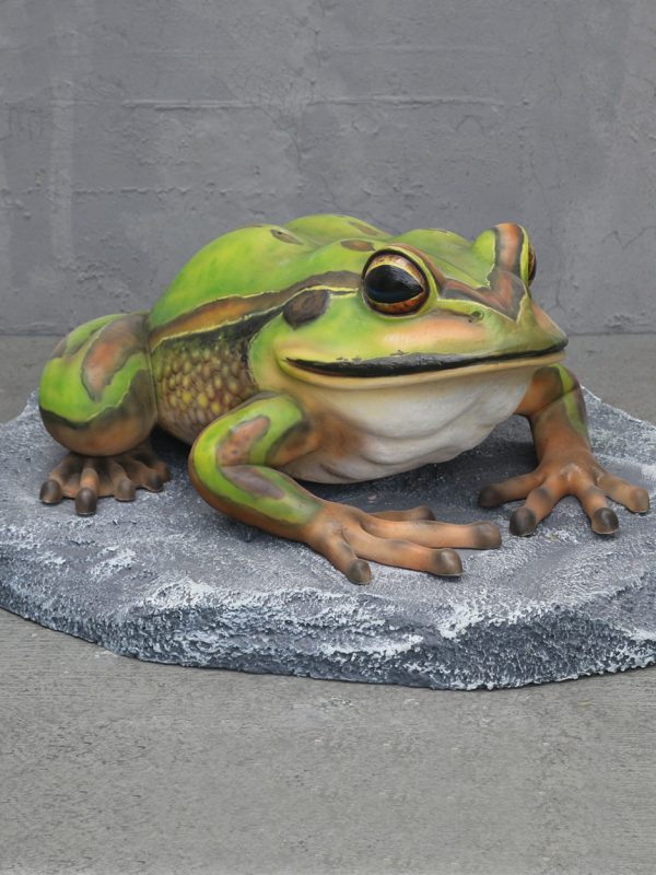 BELL FROG ON ROCK BIG