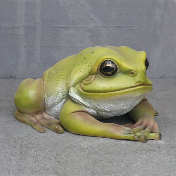 TREE FROG BIG