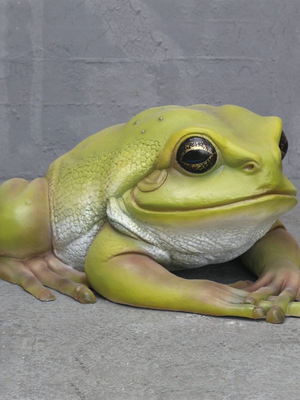 TREE FROG BIG