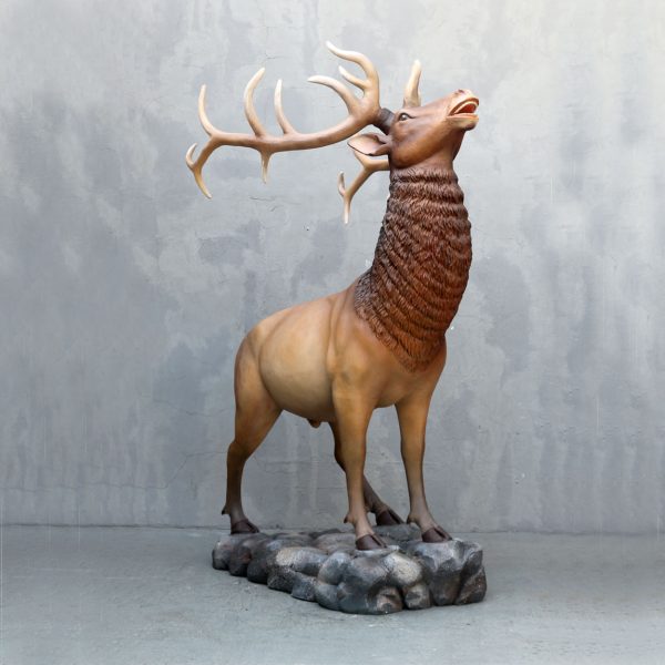 ELK (NATURAL COLOR)
