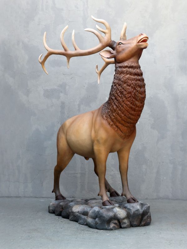 ELK (NATURAL COLOR)