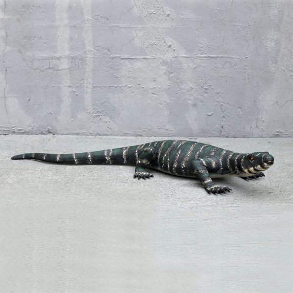 LACE MONITOR LIZARD