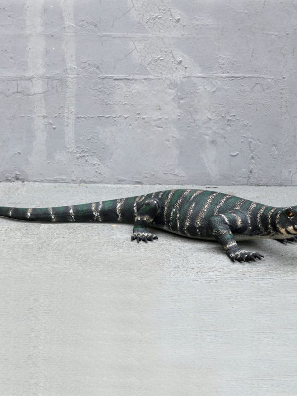 LACE MONITOR LIZARD