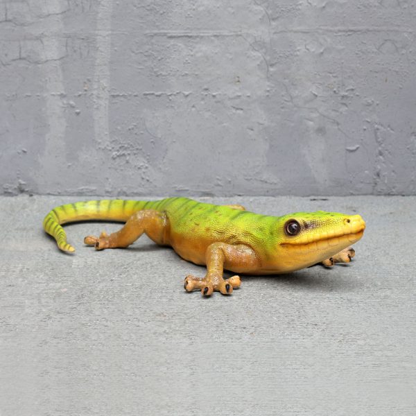 GECKO