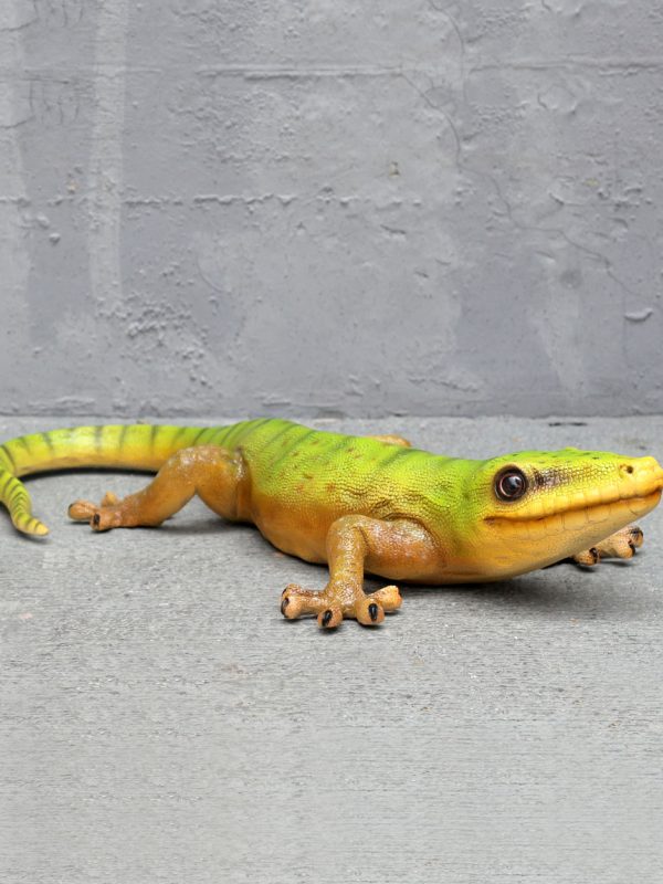 GECKO