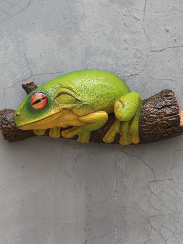 FROG ON TREE BRANCH