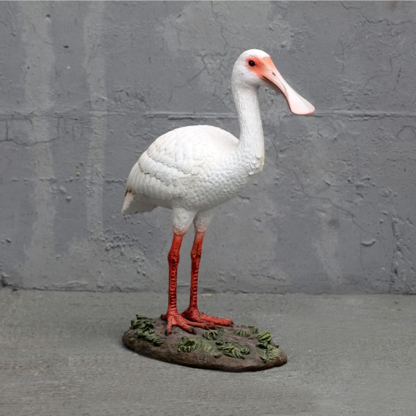 BIRD SPOONBILL ROYAL