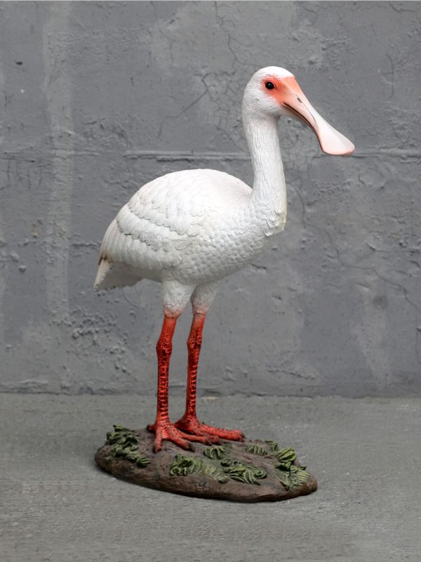 BIRD SPOONBILL ROYAL