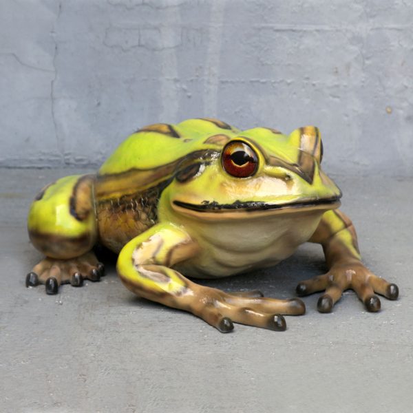 BELL FROG BIG