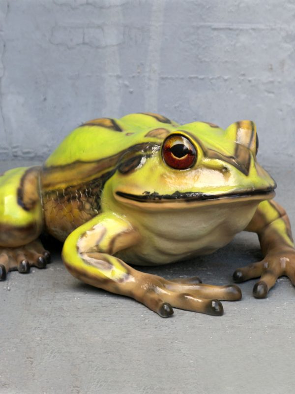 BELL FROG BIG