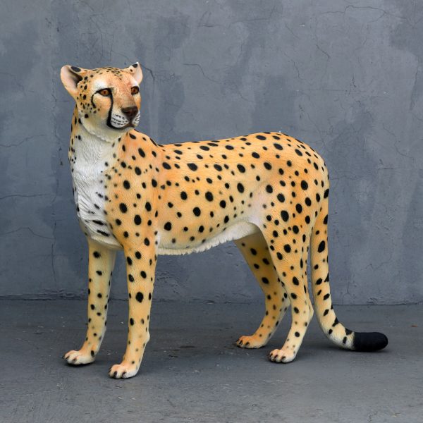 CHEETAH