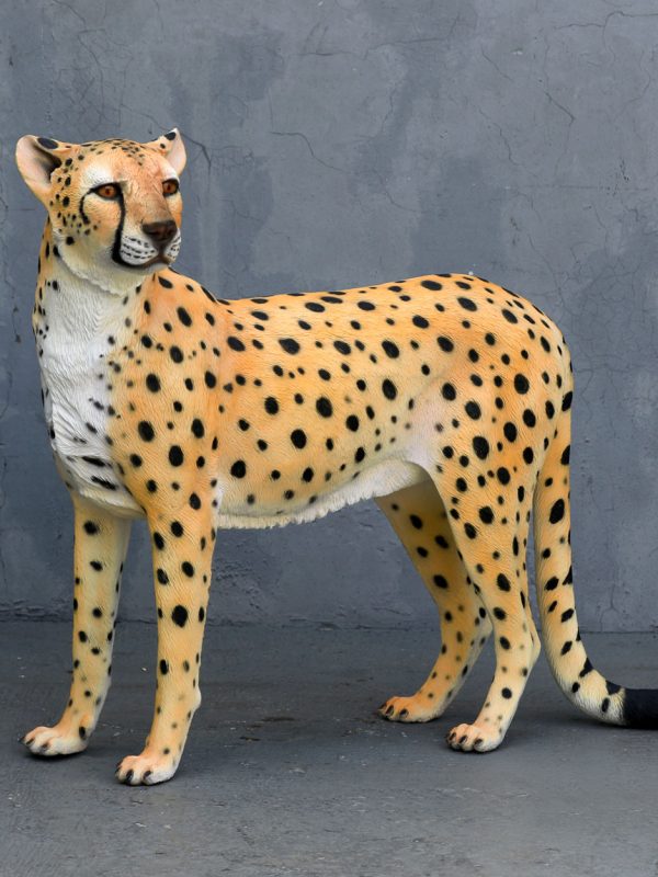 CHEETAH