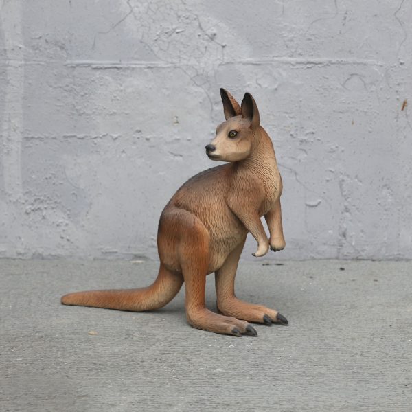 KANGAROO PADEMELON RED NECKED