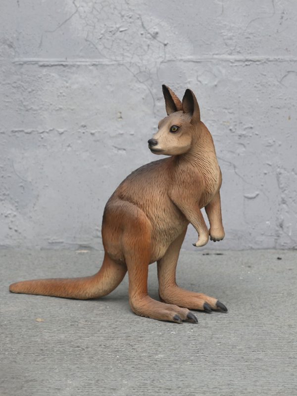 KANGAROO PADEMELON RED NECKED