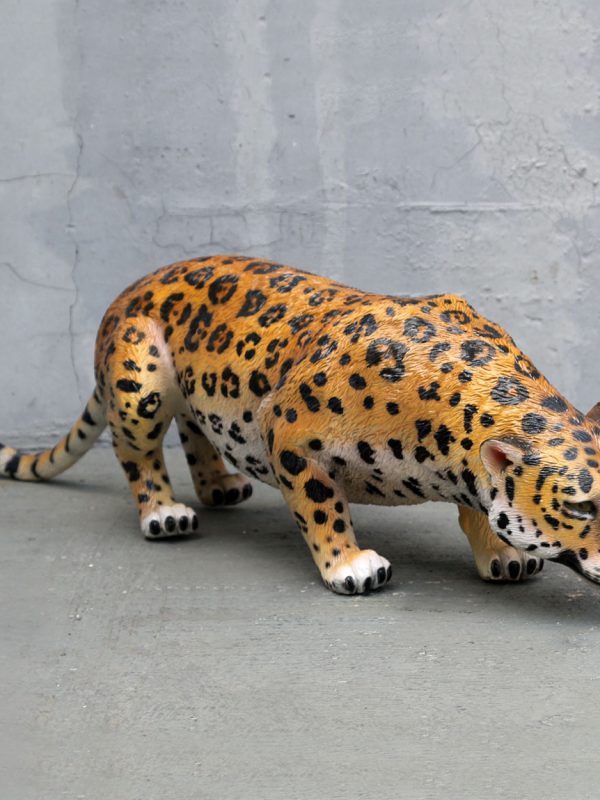JAGUAR