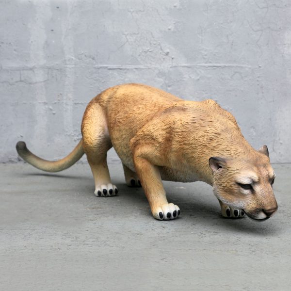 COUGAR CROUCHING