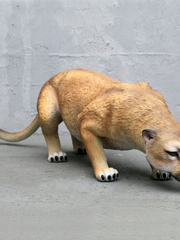 COUGAR CROUCHING