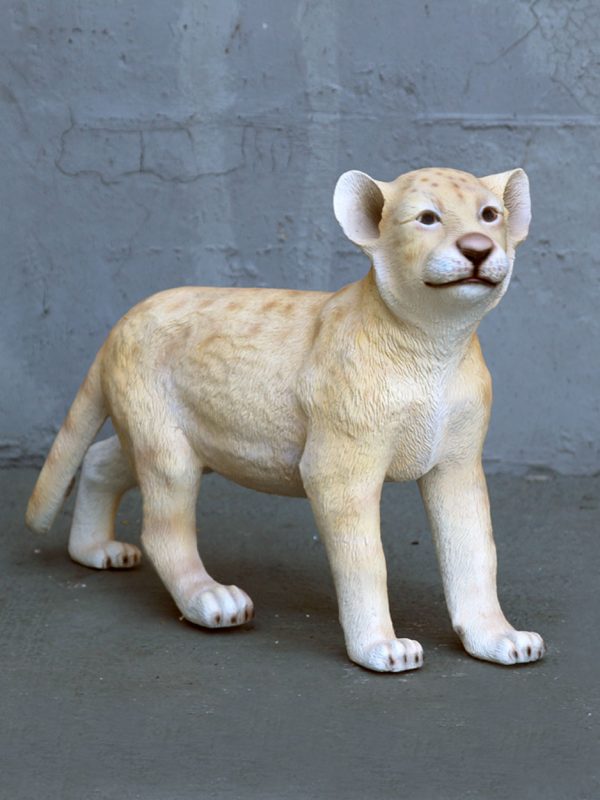 LION CUB STANDING