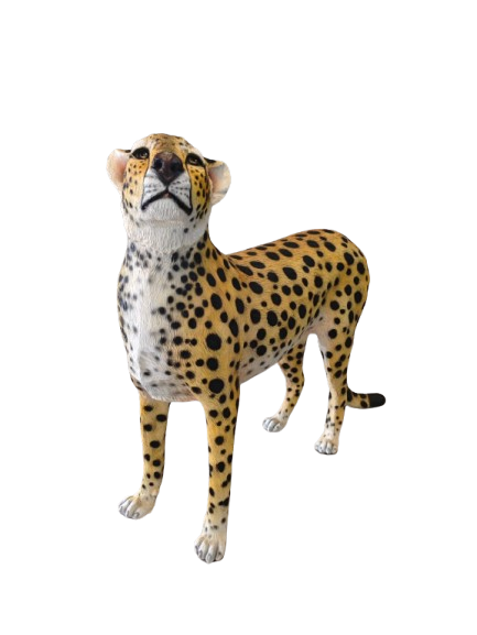 CHEETAH HEAD UP