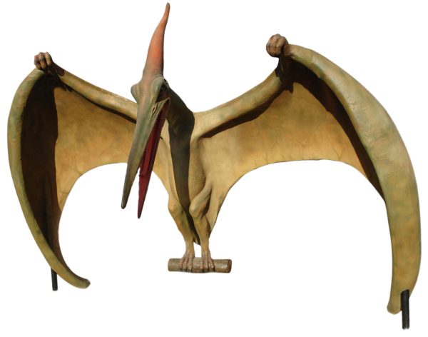 PTERANODON