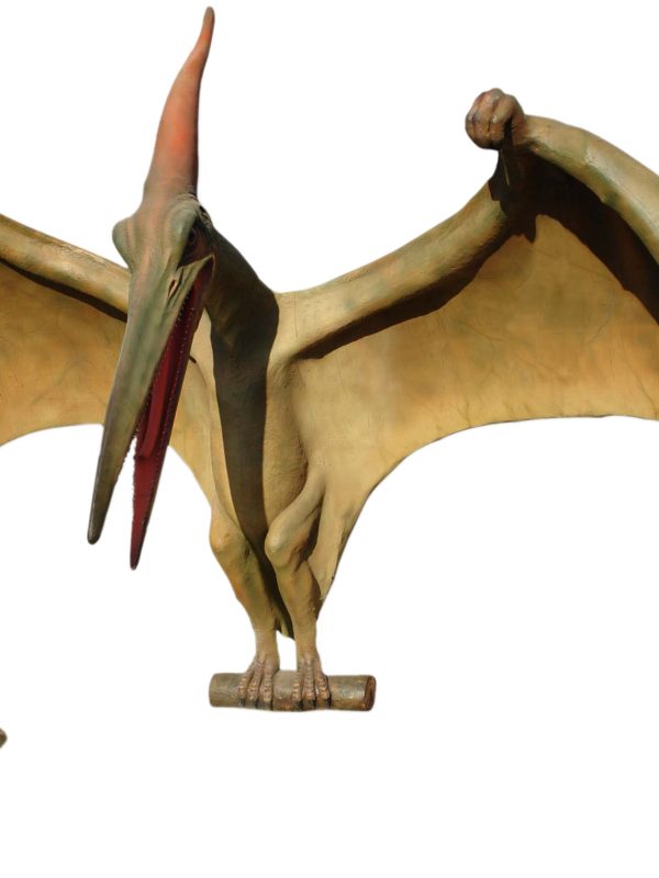 PTERANODON