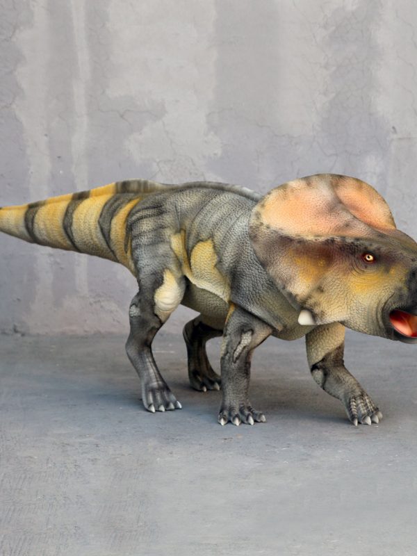 PROTOCERATOPS